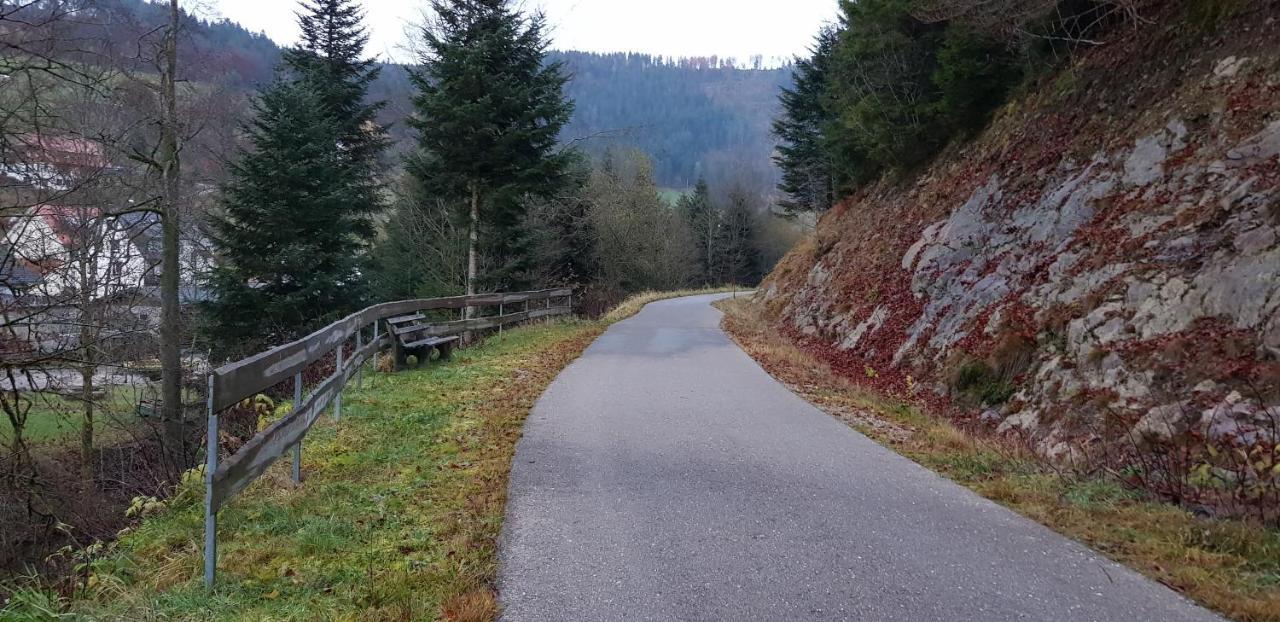 Ferienwohnung "Hirschlein" Im Schwarzwald Baiersbronn Exteriör bild