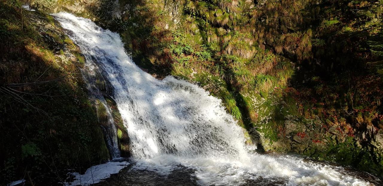 Ferienwohnung "Hirschlein" Im Schwarzwald Baiersbronn Exteriör bild