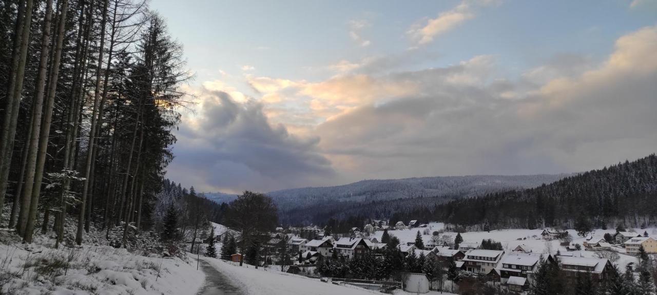 Ferienwohnung "Hirschlein" Im Schwarzwald Baiersbronn Exteriör bild
