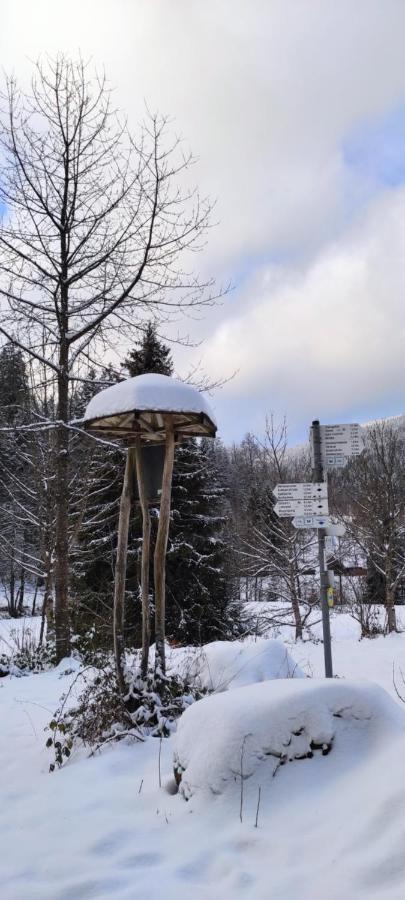 Ferienwohnung "Hirschlein" Im Schwarzwald Baiersbronn Exteriör bild