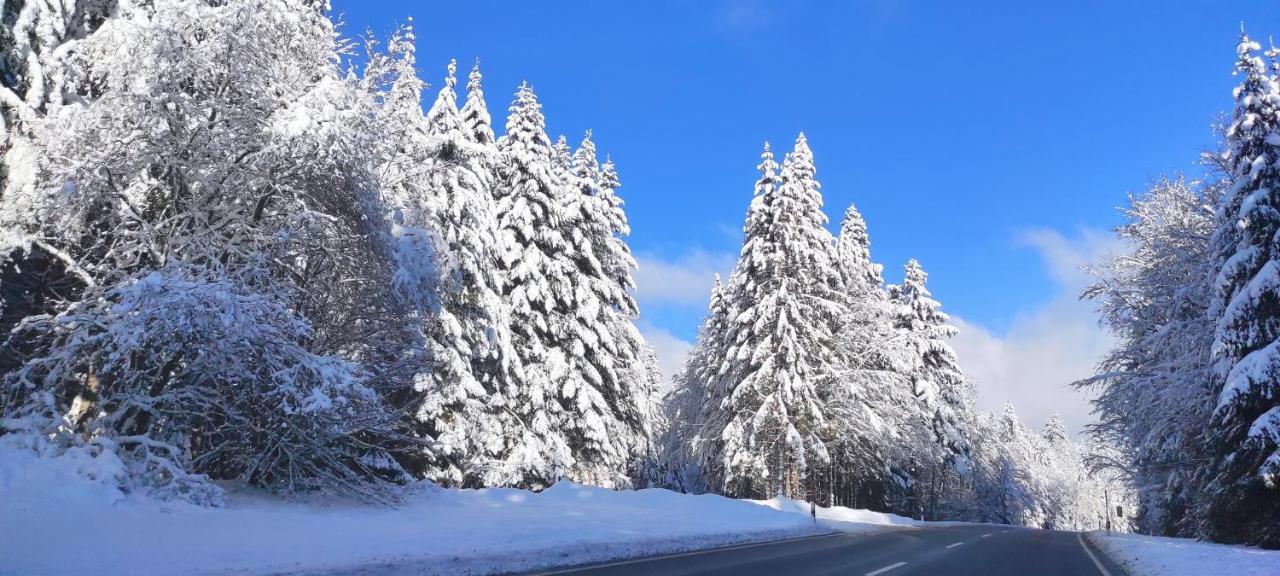 Ferienwohnung "Hirschlein" Im Schwarzwald Baiersbronn Exteriör bild