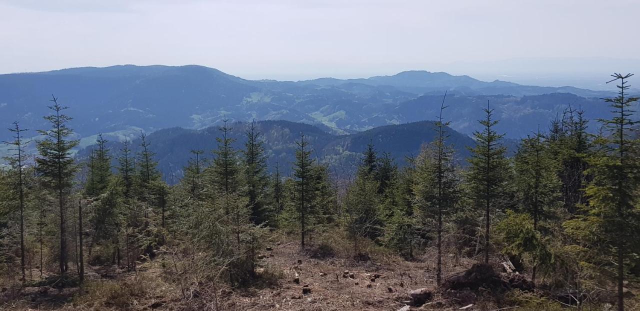 Ferienwohnung "Hirschlein" Im Schwarzwald Baiersbronn Exteriör bild