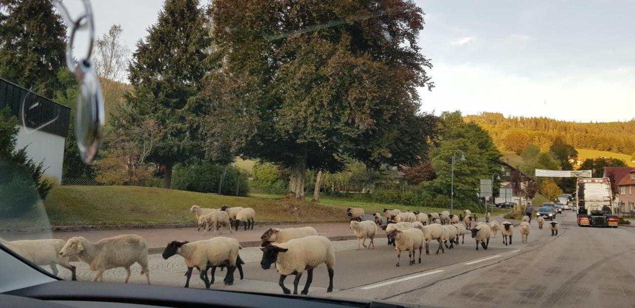 Ferienwohnung "Hirschlein" Im Schwarzwald Baiersbronn Exteriör bild